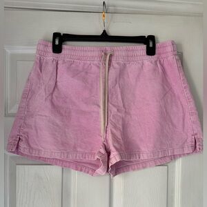Women’s Pacsun Large Pink Shorts